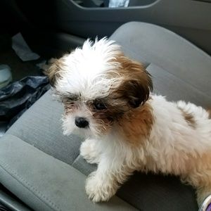 Meet your Posher, Chris